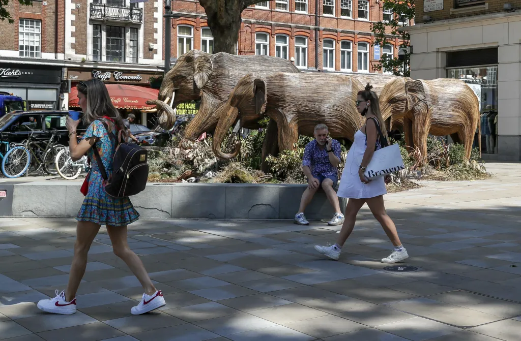 Charitativní organizace Elephant Family vystavila v Londýně sto dřevěných soch slonů v životní velikosti