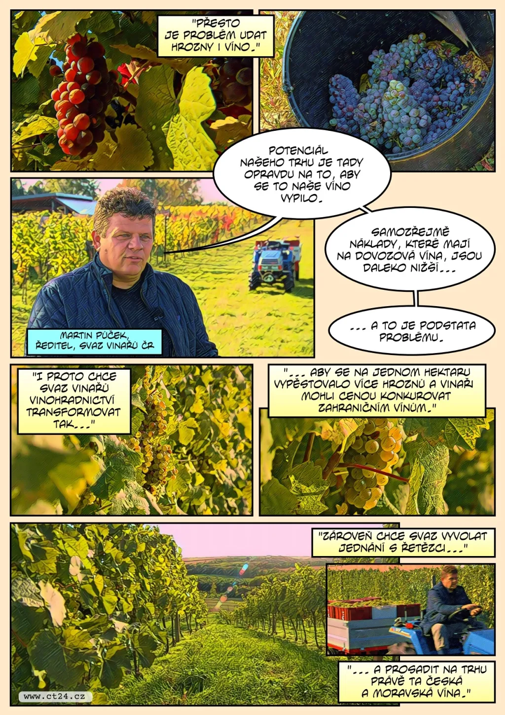 Pěstitelé nemají komu prodat hrozny, vinaři kvůli „covidovým“ zásobám nemají zájem