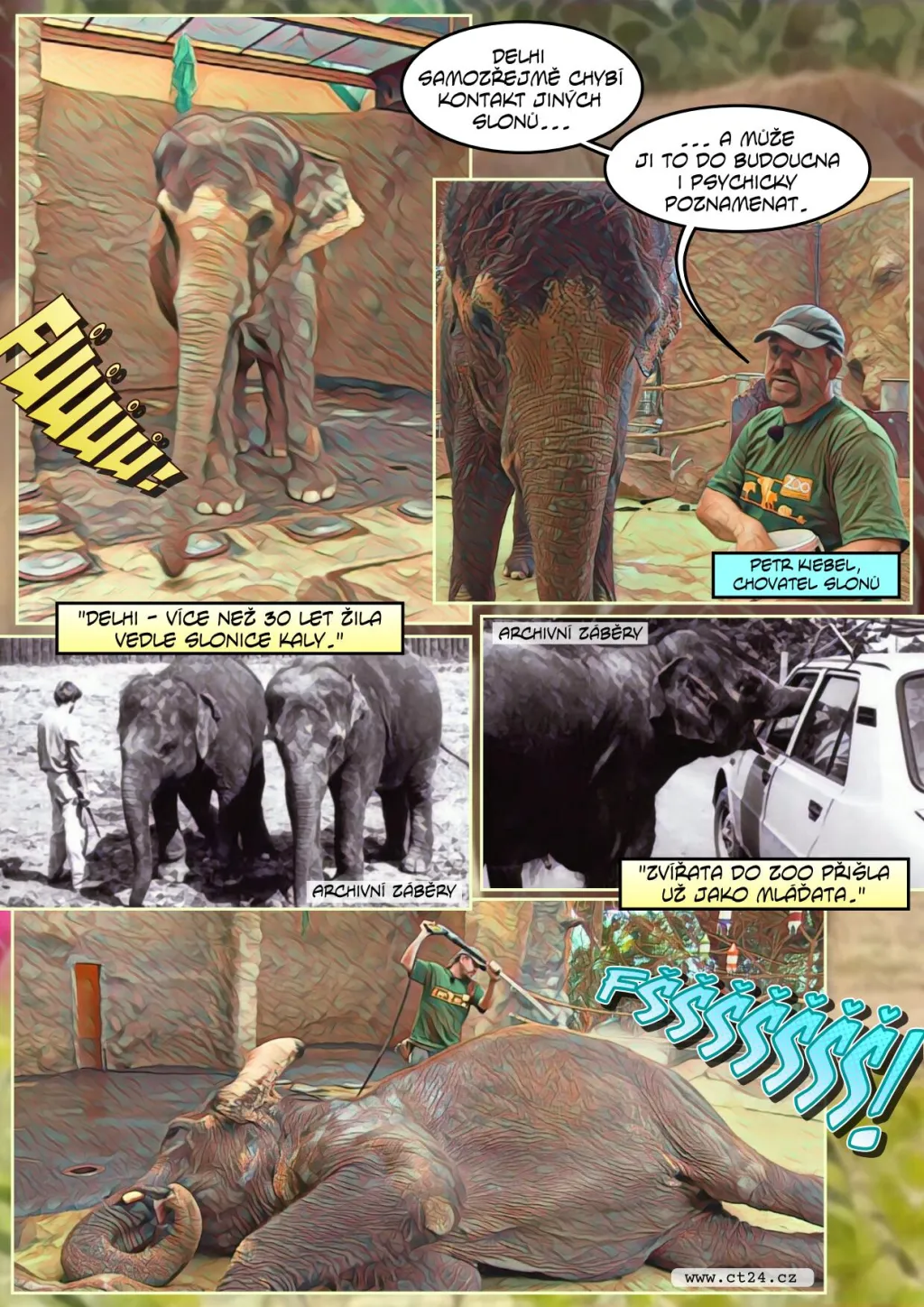 Slonice Dehli bude mít nový domov