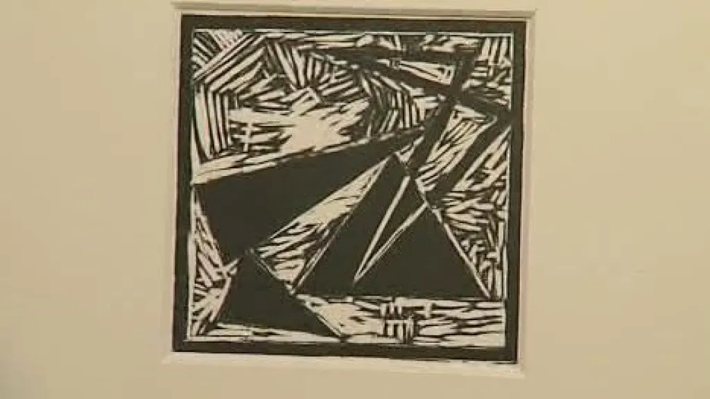 Čtyři příběhy černé a bílé