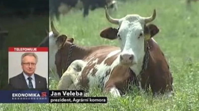 Komentář Jana Veleby a Petra Havla