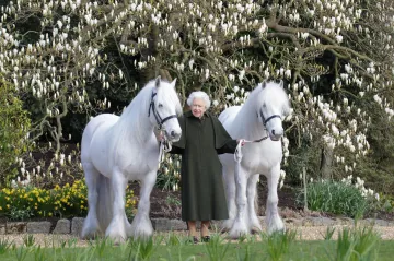 Alžběta II. slaví 96. narozeniny. Británie se chystá na oslavy asi posledního kulatého jubilea její vlády