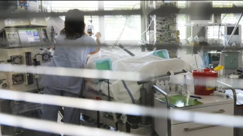 Reportáž Edity Horákové