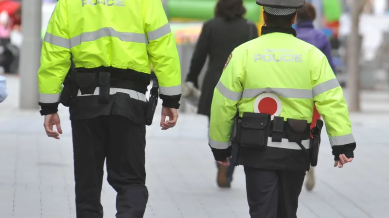 Strážníci v Brně