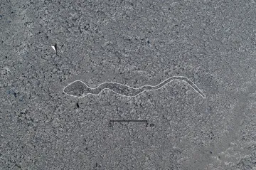 Vědci našli u planiny Nazca dalších 168 obrazců. Jejich smysl zůstává záhadou