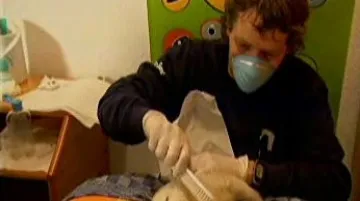 Knut a jeho ošetřovatel