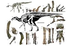 Japonci vykopali kostru osmimetrového dinosaura s kachním zobákem. V Asii je to výjimečný objev