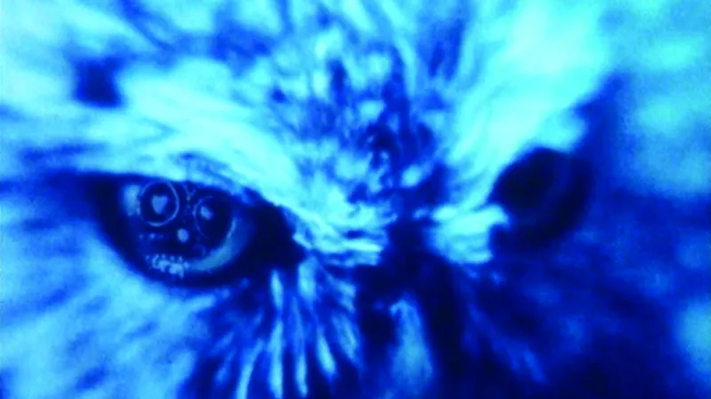 Z výstavy Prostor pro pohyblivý obraz: dokument