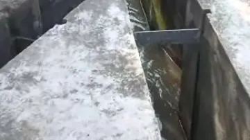 Čistička odpadních vod