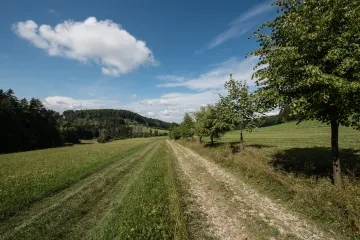 Středa je zatím nejteplejším dnem roku