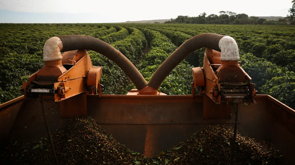 Zemědělský stroj sklízí kávové třešně na farmě poblíž brazilské Brasílie