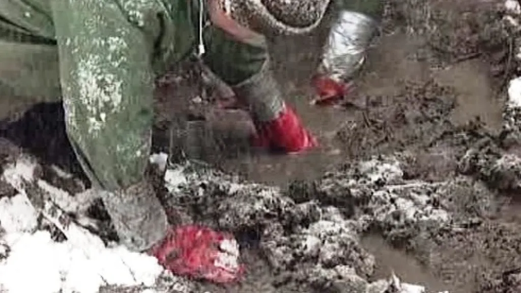 Pyrotechnici hledají munici