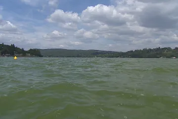 V Brněnské přehradě se přemnožily sinice. Hygienici vydali zákaz koupání