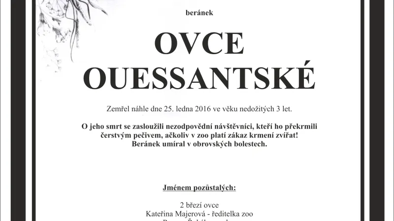 Smuteční parte ZOO Děčín