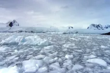 Led kolem Antarktidy v posledních letech rekordně taje. A na rozdíl od Arktidy vědci neví proč 