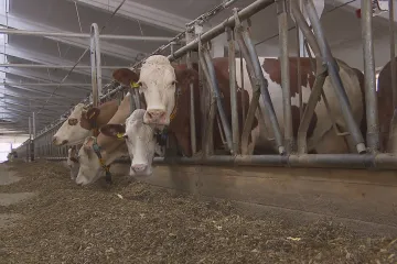 Nejlépe čerpají evropské dotace zemědělci. Česko z EU ale získává jen o 10 miliard více, než odevzdá