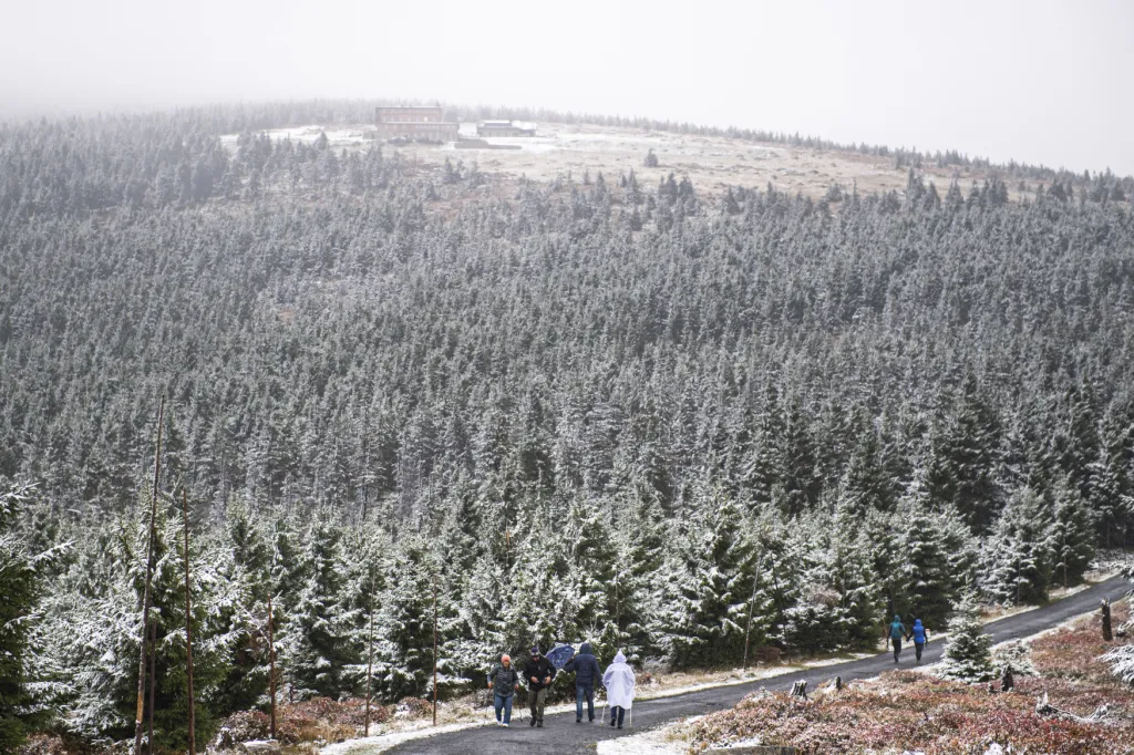Sníh v Krkonoších