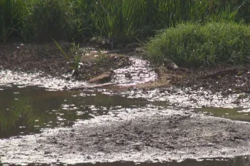 Česká suchá republika by měla zvlhnout. Vládní strategie slibuje zajistit vodu v řekách i pod zemí