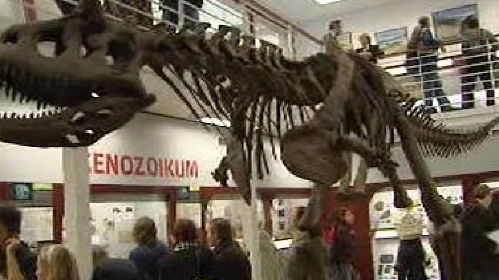 Exponát Chlupáčova muzea historie Země