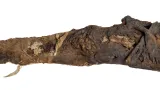 Egyptská mumie pětiletého dítěte