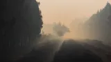 Následky lesních požárů v jihozápadní Francii
