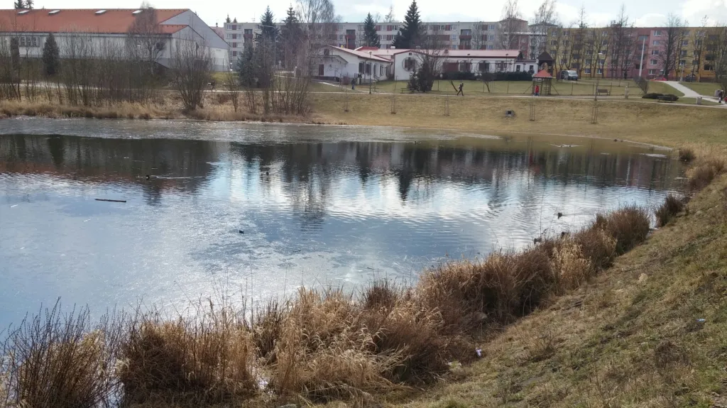 Nevzhledný rybníček se změní v mokřadní učebnu