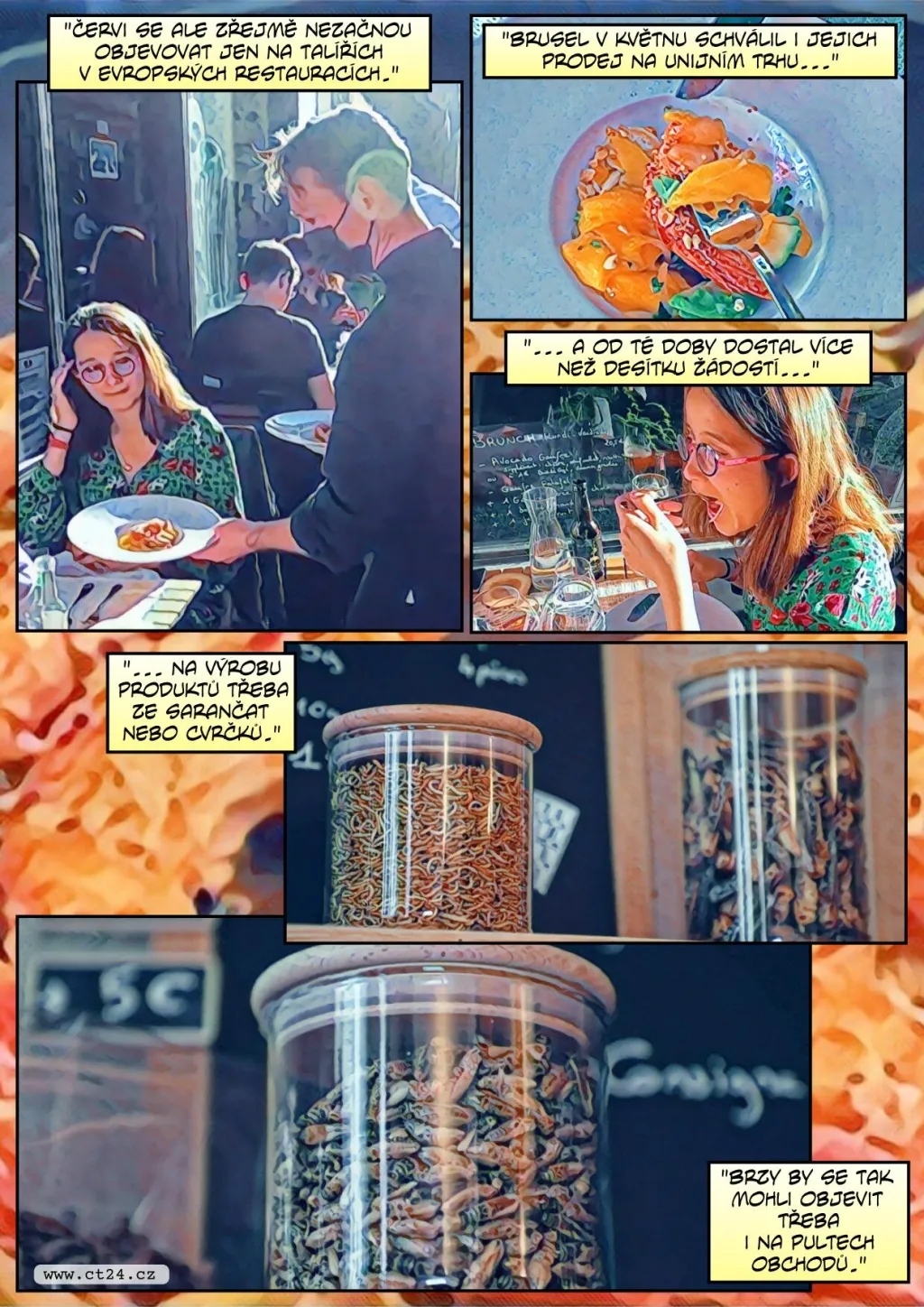 Hmyz jako potrava budoucnosti? S podobnými ingrediencemi experimentuje stále více kuchařů