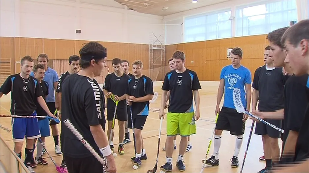 V uplynulé sezoně se Panteři podívali do play-off