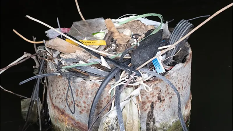 Plastové hnízdo lysky fungující víc než třicet let