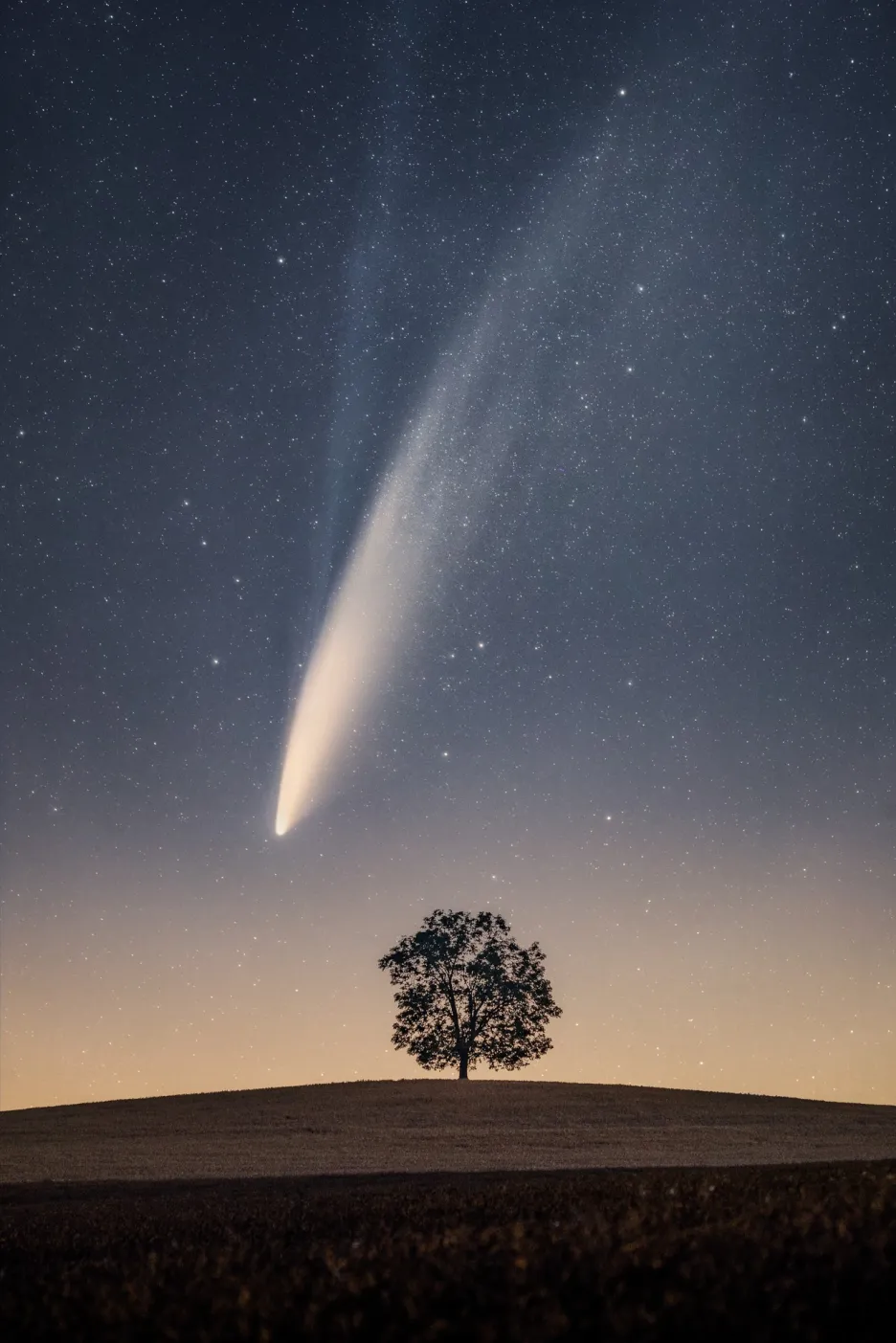 Třetí místo v kategorii Série: Lukáš Veselý se sérií snímků nazvanou Významné stromy pod noční oblohou