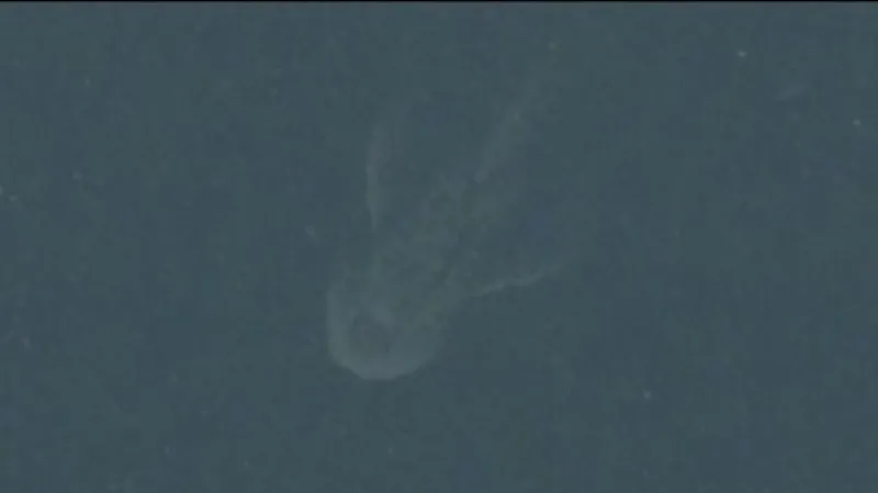 Kalné hladiny Loch Ness jsou opředeny tajemstvím