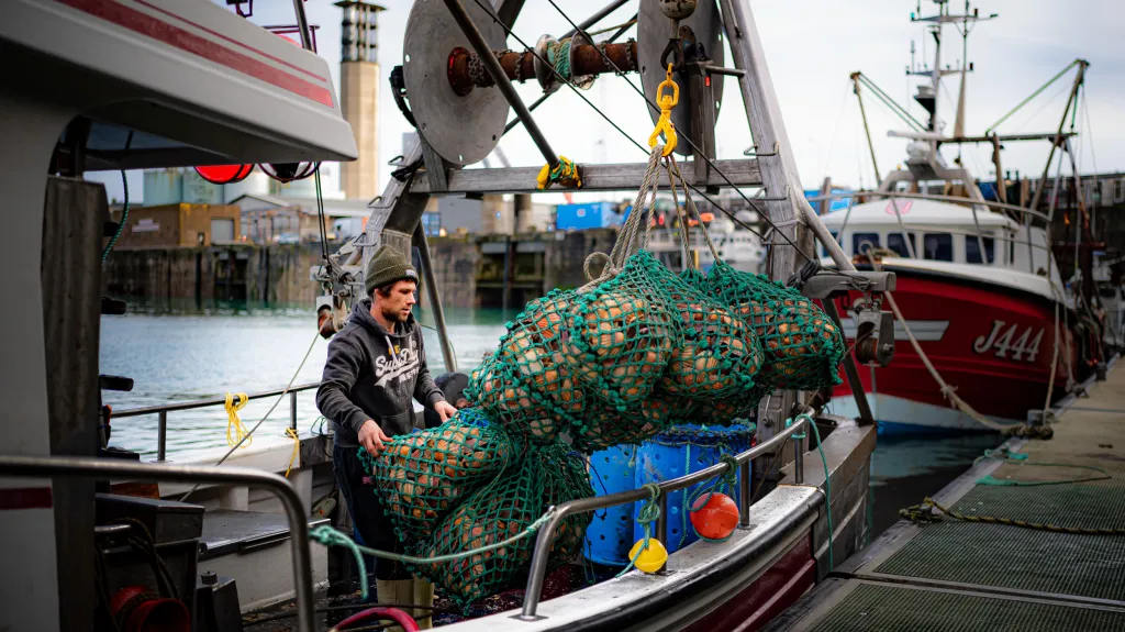 Rybář vykládá úlovek v přístavu na ostrově Jersey