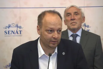 Ústavní žaloba na prezidenta má dostatek podpisů, aby ji projednal Senát. Není ale jisté, že ji senátoři odsouhlasí