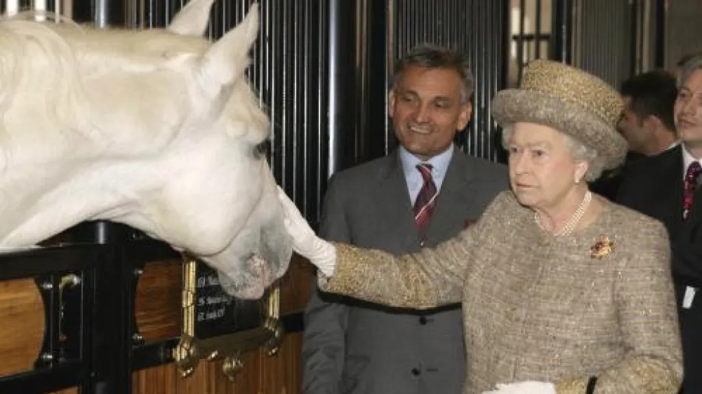 Alžběta II. v Lipici