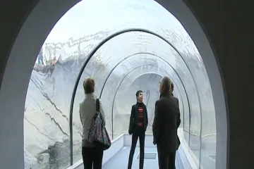 Život v rybníku je k vidění v Modré u Velehradu