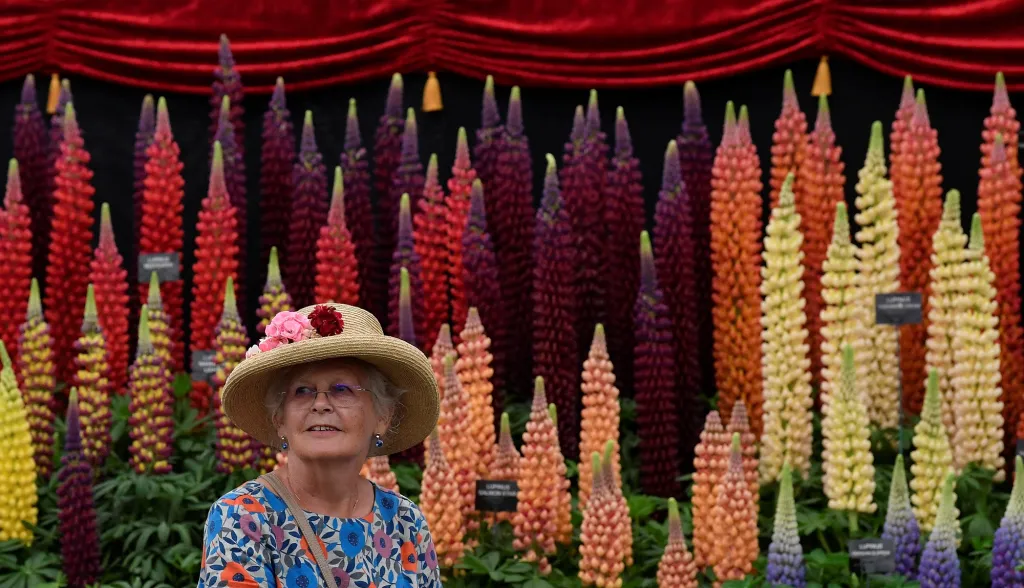 Chelsea Flower Show 2019