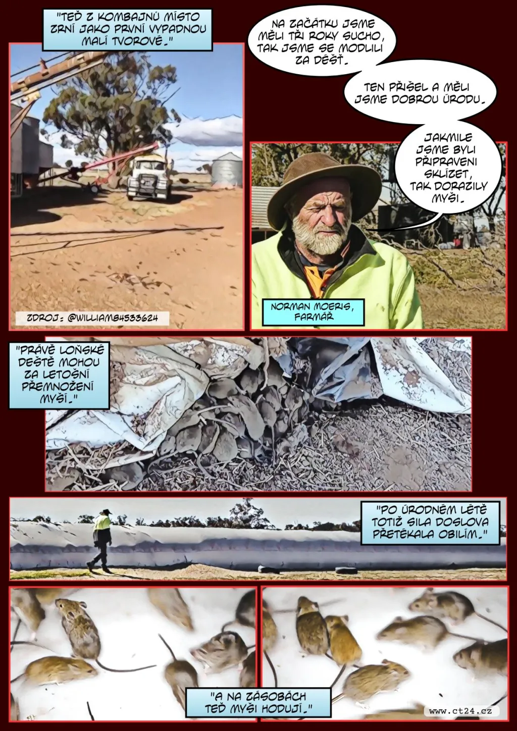 Záplava myší vyhnala v Austrálii vězně i jejich dozorce. Hlodavci poničili bezpečnostní systém