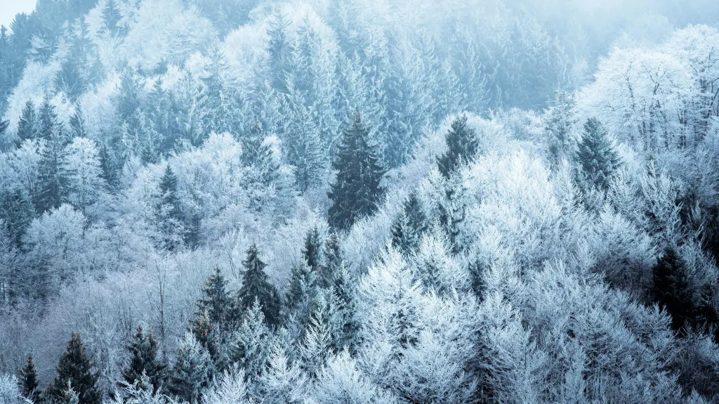 Ilustrační snímek