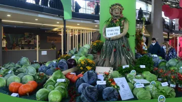 Podzimní výstava ovoce a zeleniny Flora Olomouc