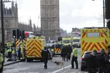Britská policie propustila devět lidí zadržených po útoku u parlamentu