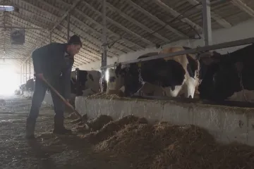 Ohlédnutí: Dopad ruské invaze na zemědělství 