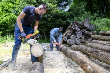 Dobrovolničila už čtvrtina Čechů, ročně má tato pomoc hodnotu desítek miliard