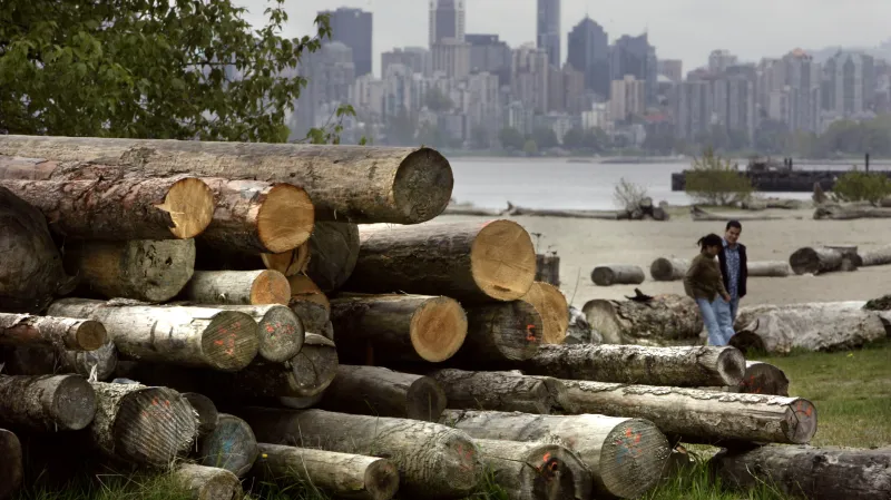 Složené klády v kanadském městě Vancouver