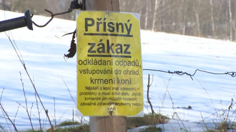 Zákaz krmit koně lidé nerespektují