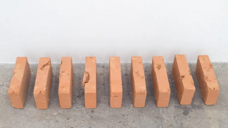 Jan Haubelt / Cihly, 2015