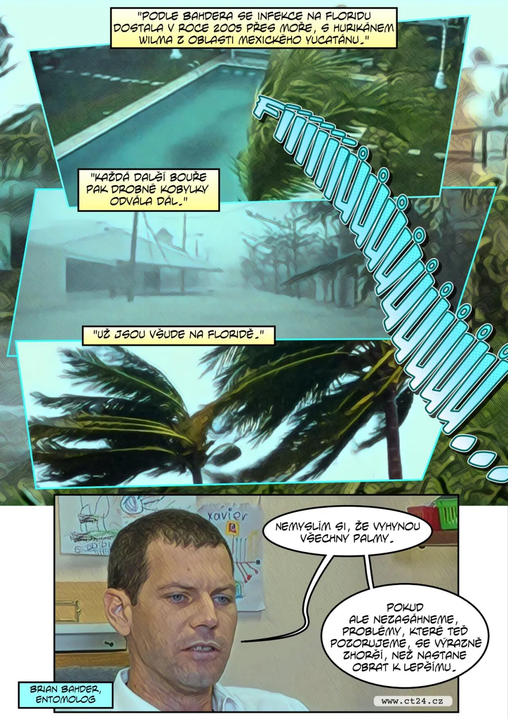 Palmy na Floridě