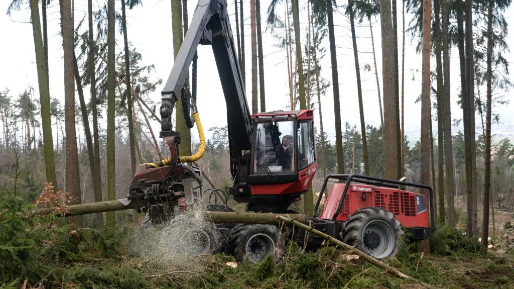 Harvestor likviduje popadané stromy v Zoo Olomouc