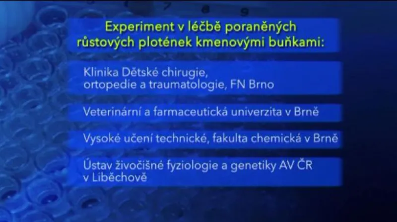 Reportáž Silvie Klekové