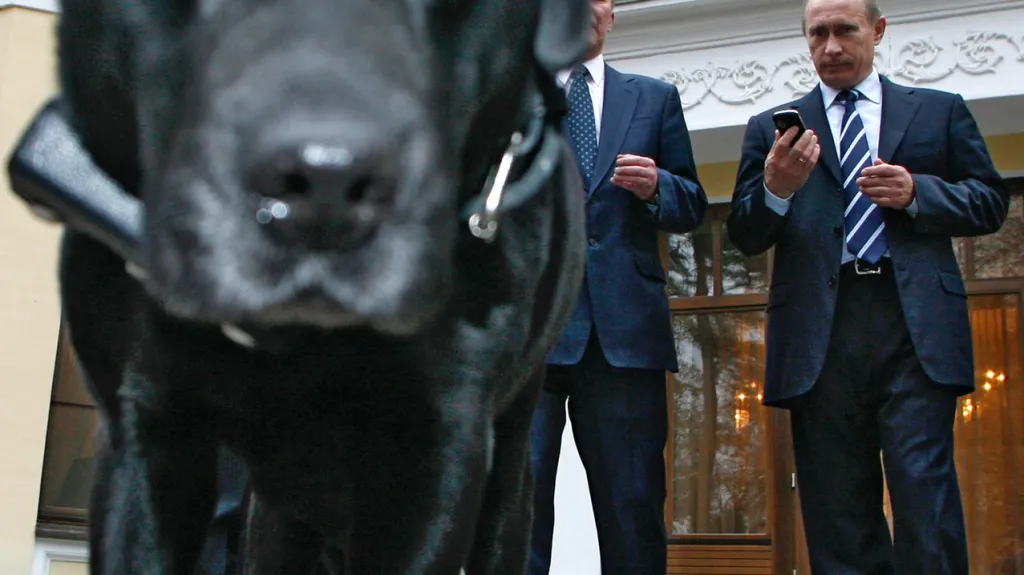 Putinova labradorka Kony s ruským GPS