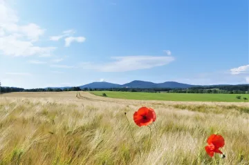 Na devíti místech v Česku padly teplotní rekordy. Rtuť vyšplhala i nad třicet stupňů